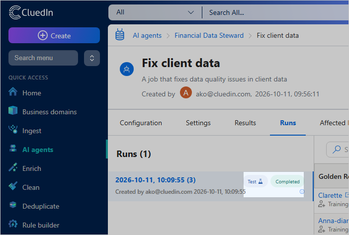 The Runs tab of an AI agent job with a run labelled Test and Completed